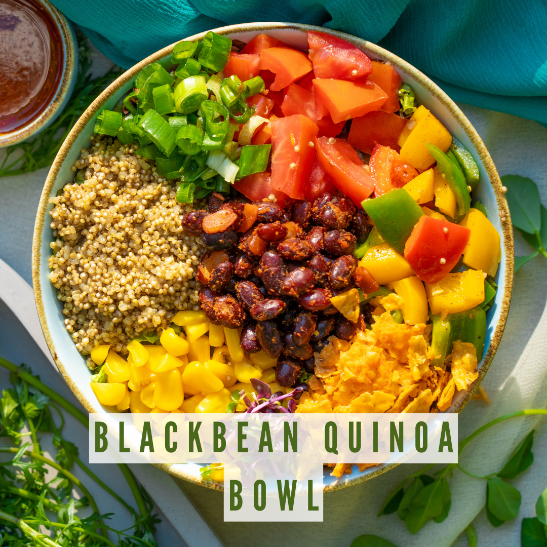 Black Bean Quinoa Bowl | Saturday Lunch Delivery